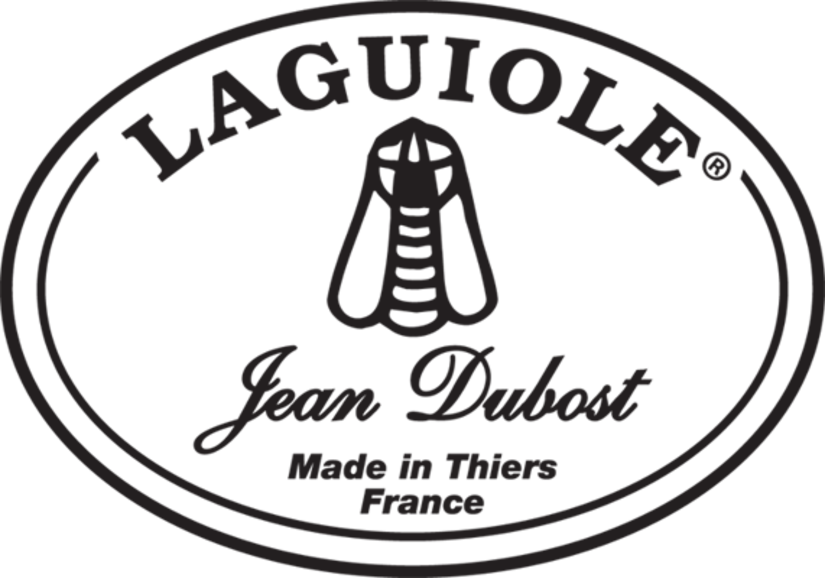 New Age Laguiole Jean Dubost Manalogue Cuisine Darty July 15