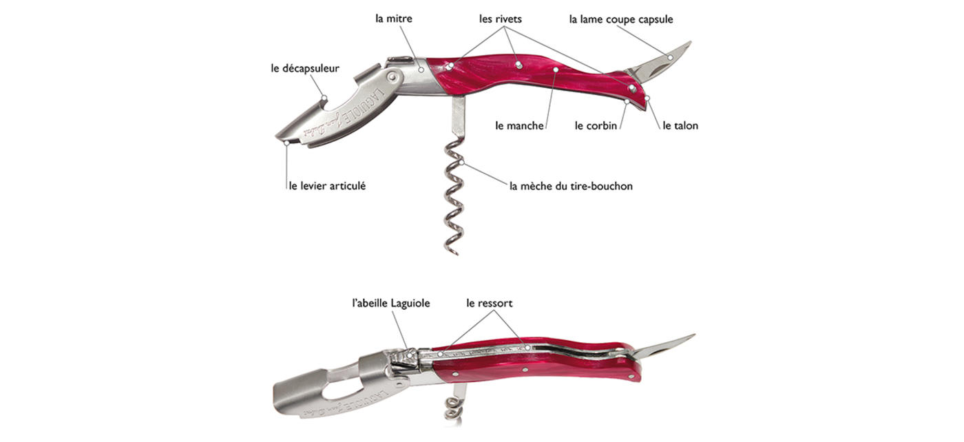 anatomie-sommelie-millesime-laguiole-jean-dubost