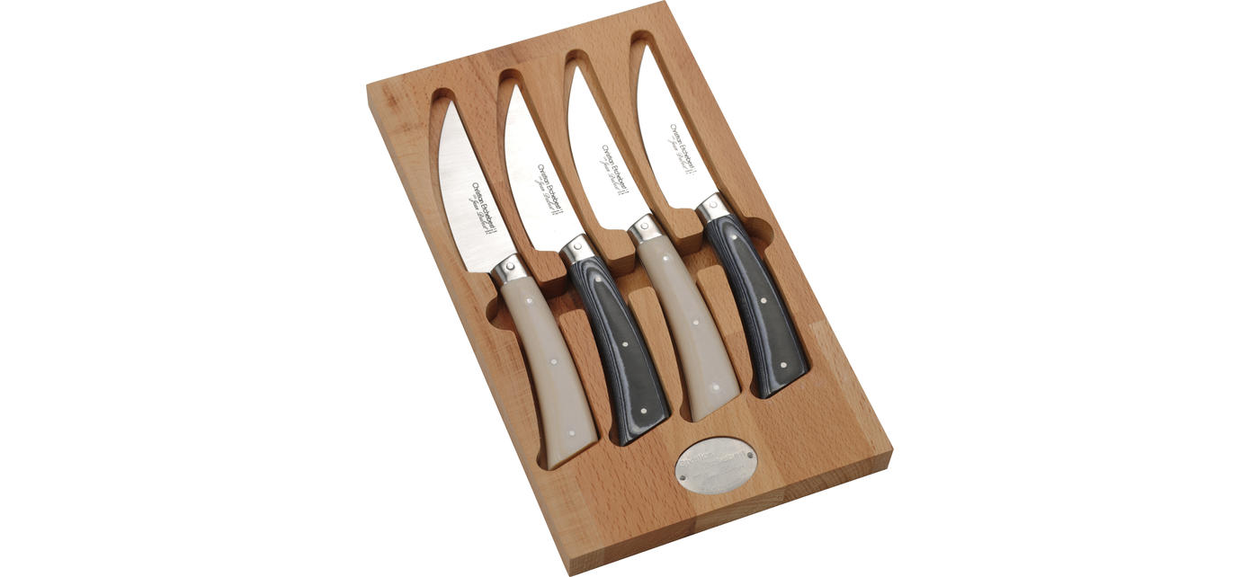 Jean Dubost 4 Kitchen Knives Set Mixed Woods in Gift Box