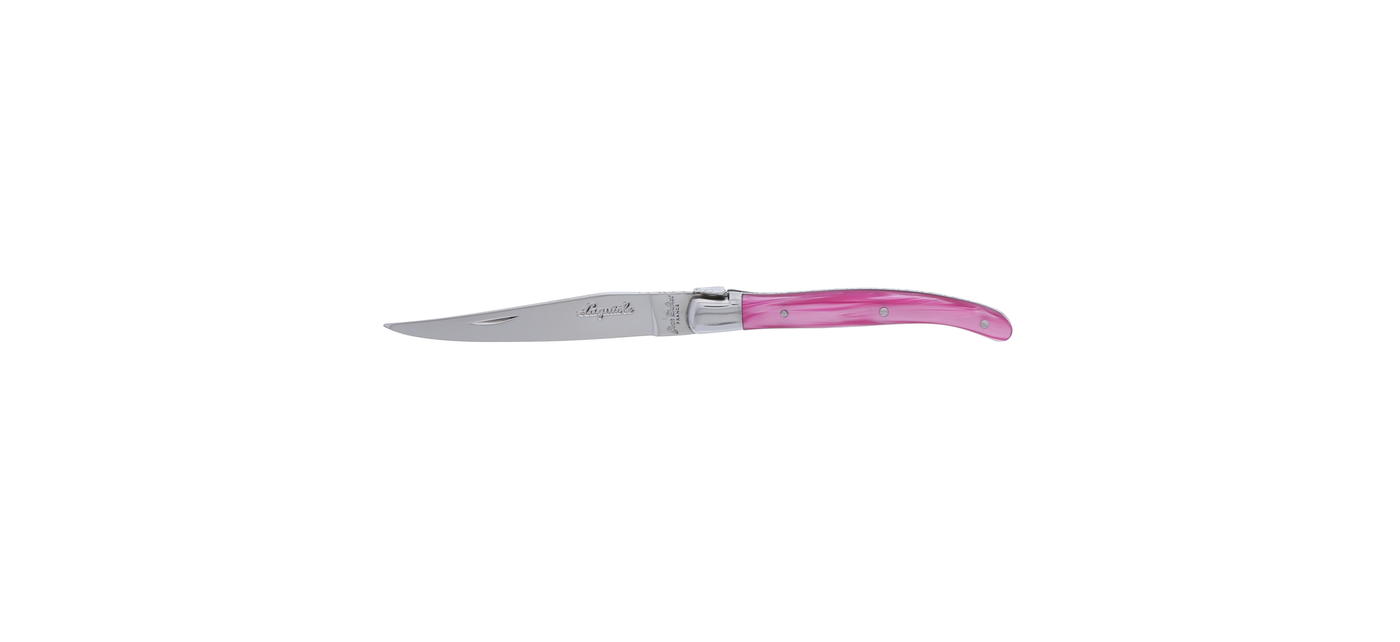 Jean Dubost 6 Steak Knives Pink Handles in Block